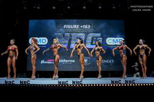 FIGURE +163